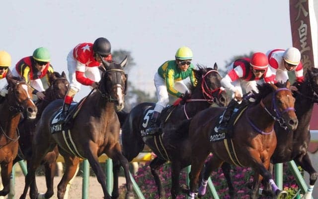 【紅葉S】レッドオルガがゴール前強襲！デムーロの落ち着いた捌きが際立つ