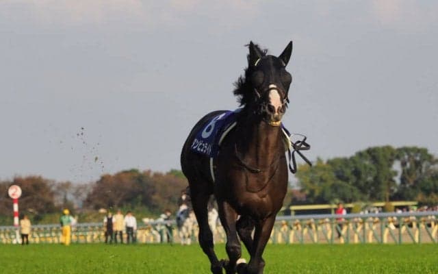 【天皇賞・秋】ダンビュライト放馬で悲鳴 競走除外