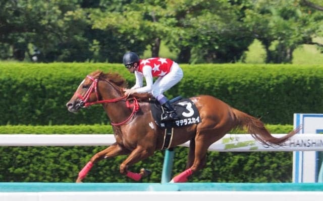 【JBCスプリント】登録馬と見どころ マテラスカイなど