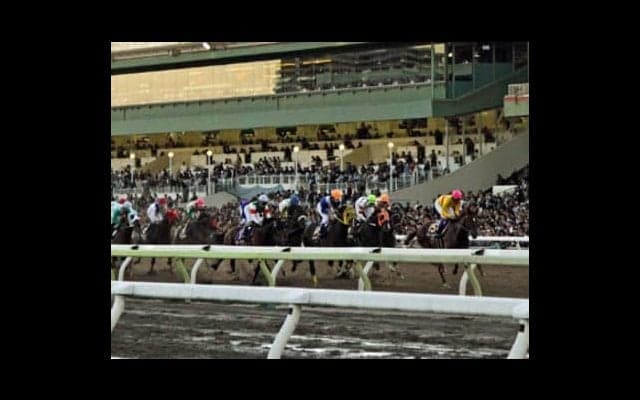 中央初開催のJBC３競走。「アウェー」に臨む地方馬こそがオイシイ