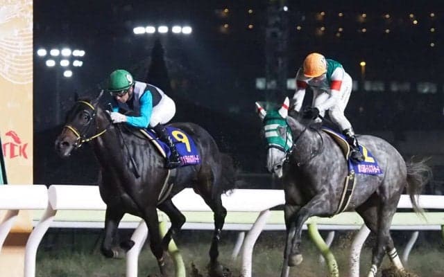 【JBCレディスクラシック】登録馬と見どころ プリンシアコメータなど