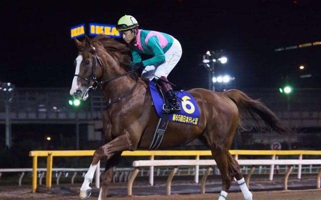 【JBCクラシック】枠順と見どころ ケイティブレイブは4枠8番