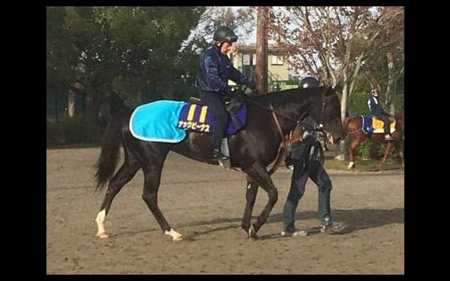 【JBCスプリント】ナックビーナス ダートでも魅力十分