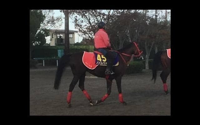 【JBCクラシック】ノンコノユメ 加藤征師「ペースがカギ」