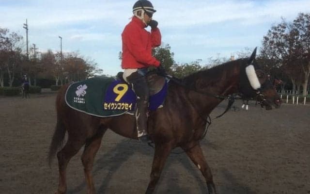 【JBCスプリント】セイウンコウセイ 上原師「久々のダートがどうか」