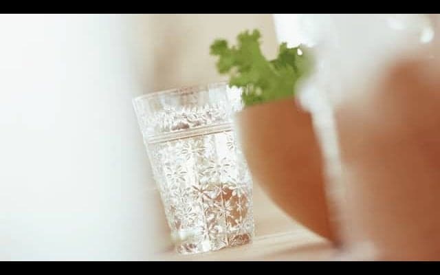 ドロドロ血液をサラサラに！栄養士おすすめの4つの食品