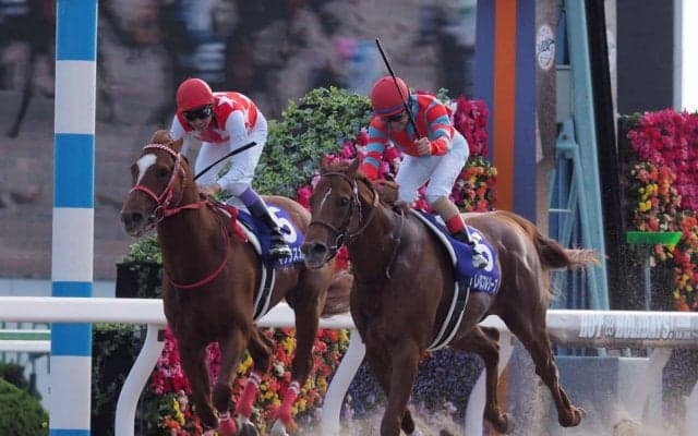 【JBCスプリント】ルメールの神騎乗炸裂！グレイスフルリープがゴール寸前マテラスカイを捉える