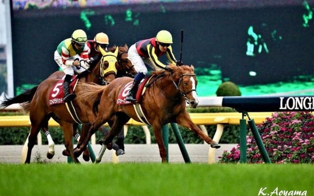 【アルゼンチン共和国杯】パフォーマプロミスが32.6の末脚で差し切る！