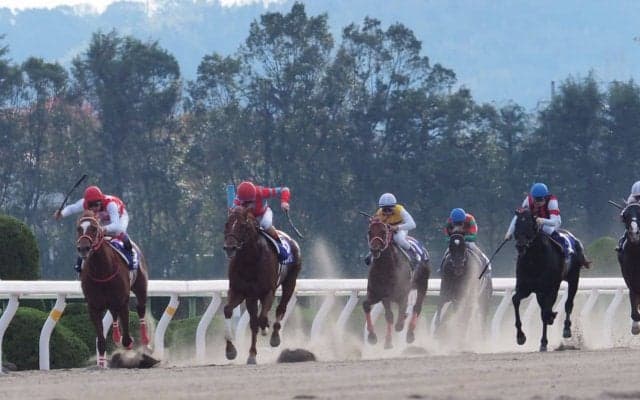 【JBCスプリント】森泰斗「軽いダートが…」レース後 ジョッキーコメント