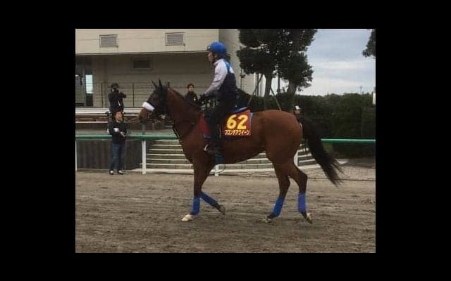 【エリザベス女王杯】フロンテアクイーン 4戦連続重賞で馬券圏内