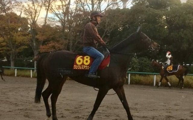 【エリザベス女王杯】ワンブレスアウェイ 古賀慎「最近は精神的に安定」