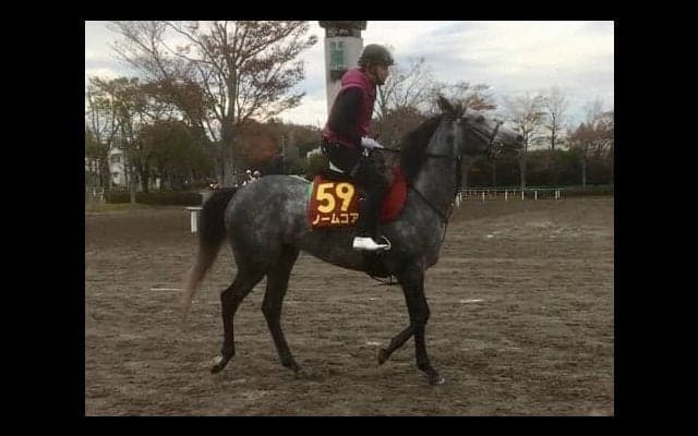 【エリザベス女王杯】ノームコア 鞍上ルメールは大きな魅力