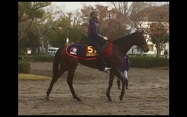 【エリザベス女王杯】コルコバード 木村師「春から逆算して意識していた舞台」