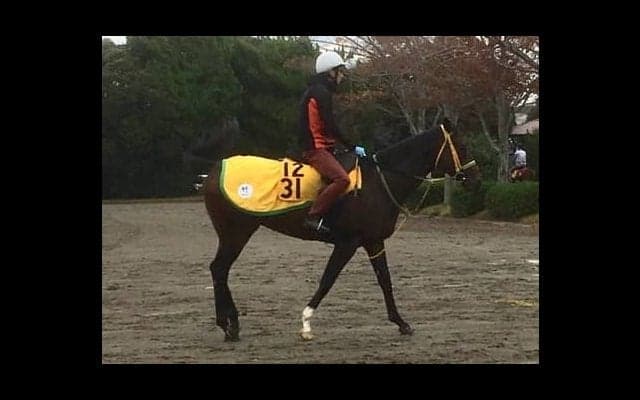 【福島記念】トミケンスラーヴァ 菜七子「器用なので福島は合いそうです」