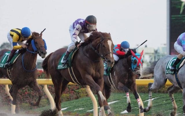 【武蔵野S】サンライズノヴァが貫禄の差し切り！重賞2勝目