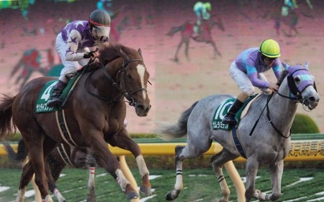 【武蔵野S】ルメール 「相手が強かったです」ジョッキーコメント