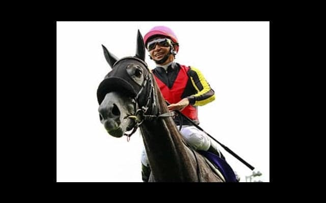 マイルＣＳは女の決闘に注目か。牝馬３頭の血統に好材料が揃っている