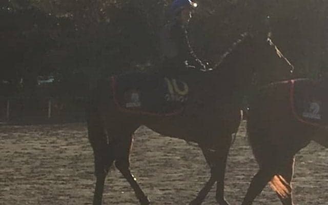 【マイルCS】ステルヴィオ 木村師「能力的にはG1でも…」