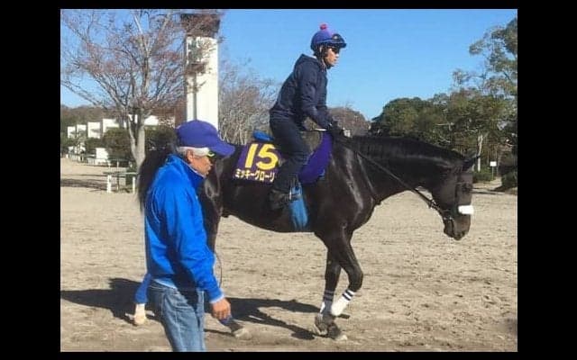 【マイルCS】ミッキーグローリー 国枝師「どこまでやれるか楽しみ」