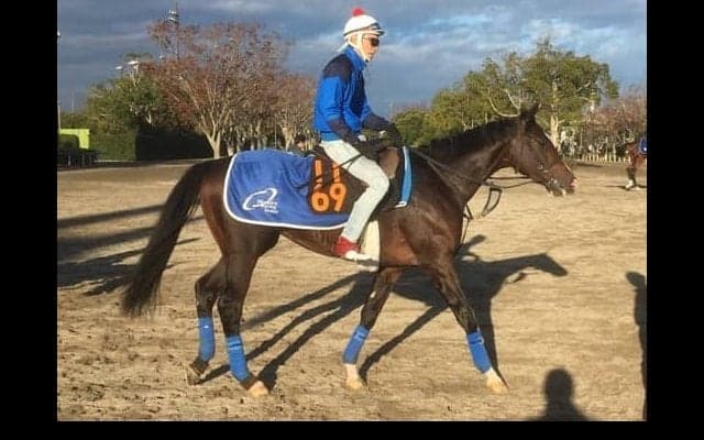 【東京スポーツ杯2歳S】ホウオウサーベル 奥村武師「どれくらいやれるか見てみたい」