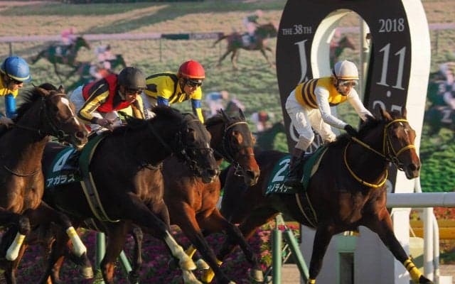 【東スポ杯2歳S】ニシノデイジーが重賞連勝！クラシック候補名乗り