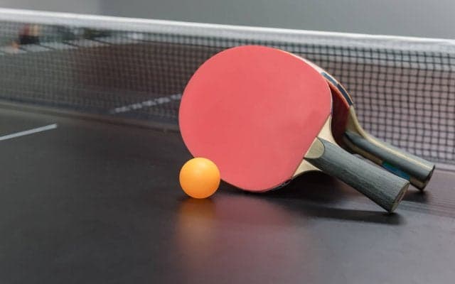 これは胸キュン…　「動物×卓球」動画が未知の次元の可愛さで悶絶