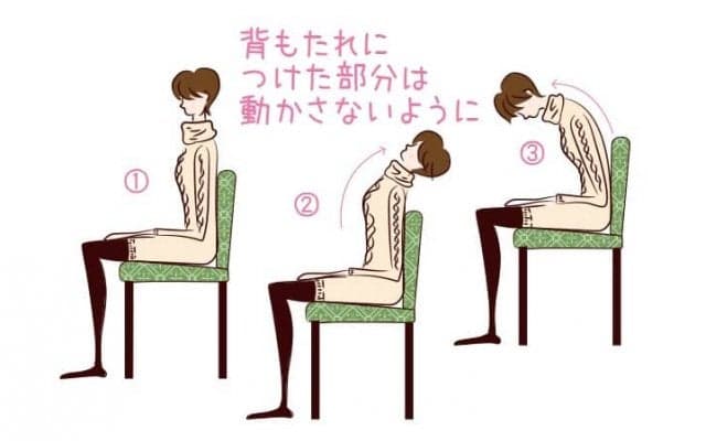 背骨を意識して動いてみよう