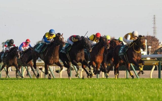 【東スポ杯2歳S】武豊「折り合いを欠いた」レース後コメント
