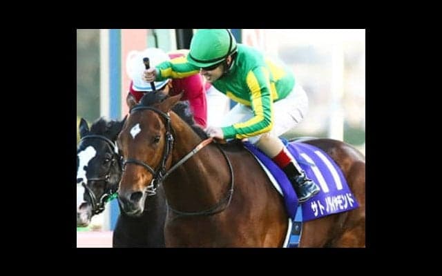 ジャパンＣの行方を左右する、サトノダイヤモンドの「復活」は本物か