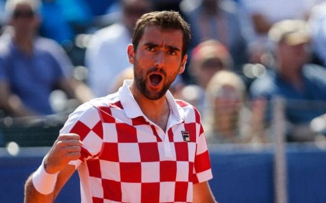 チリッチは決勝に向けて準備万端。クロアチアは2005年以来2度目の優勝を目指す[デビスカップ]