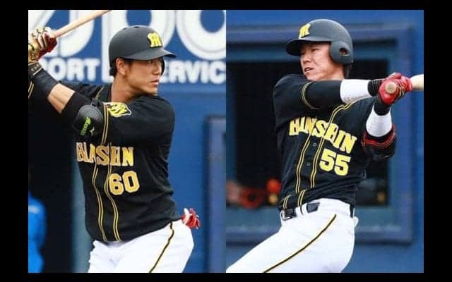 三振率上位占める阪神勢…中谷はじめ2割超え多数　三振率ランキング【セ編】