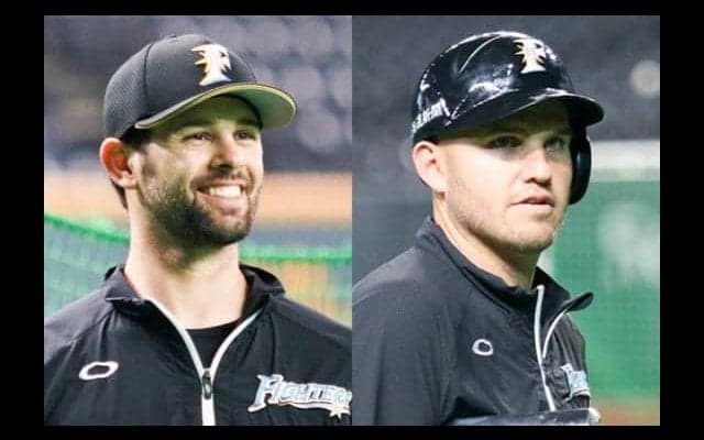 マルティネスは勝ち星以上の安定感、レアードは“26貫”…日本ハムの助っ人診断