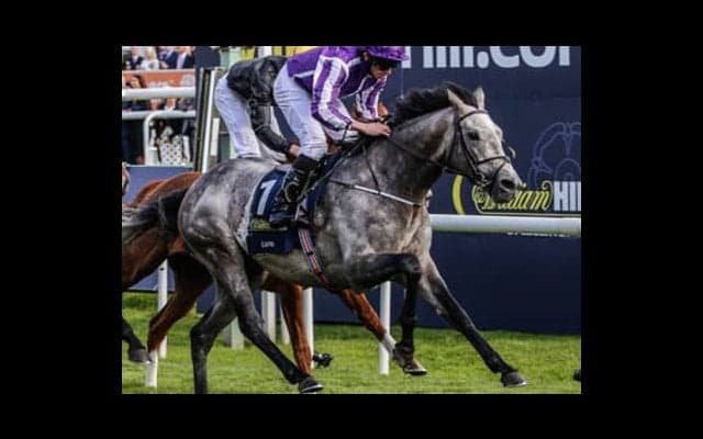 わずか２頭も、今年のジャパンＣに挑む外国馬を侮ってはいけない