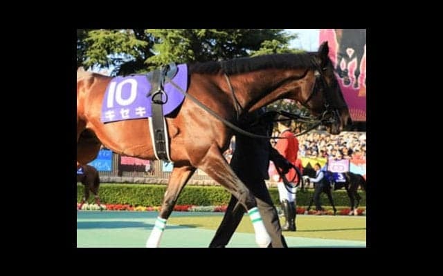 ジャパンＣ、穴党記者が「打倒アーモンドアイ」に指名した意外な４頭