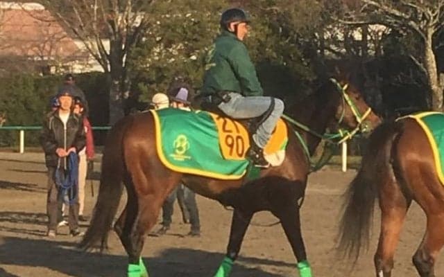 【京阪杯】ワンスインナムーン 得意の京都で重賞制覇なるか