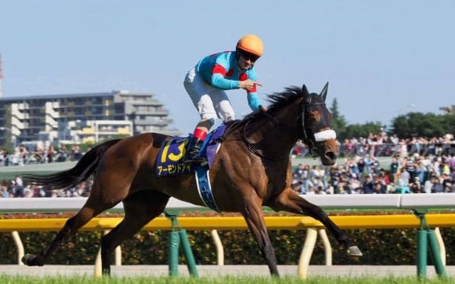 【ジャパンカップ】枠順と見所 アーモンドアイは最内枠