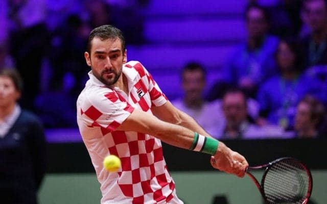 チリッチ、チョリッチがともに勝利。クロアチアが優勝まであと1勝に[デビスカップ]