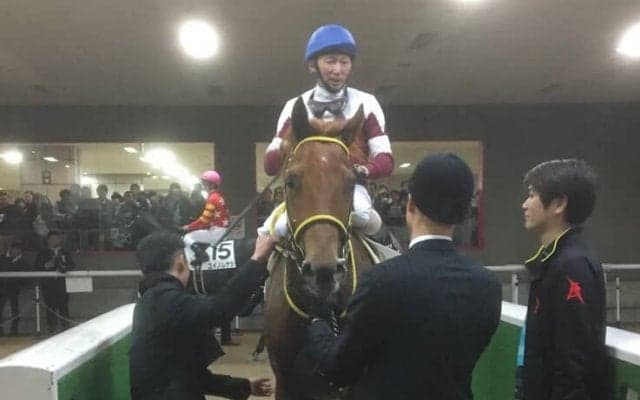 土曜東京６Ｒ新馬はオーヴァルエースが９馬身差の圧勝