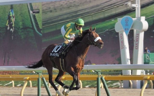 【オリエンタル賞】サトノキングダムが早め先頭から押し切る