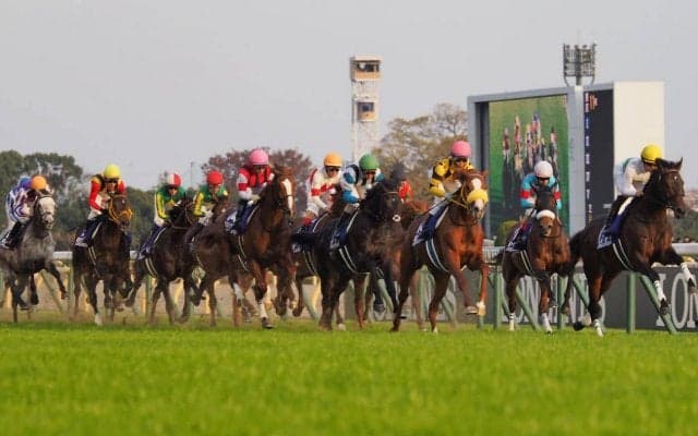 【ジャパンカップ】M.デムーロ「状態は良くなっていました」レース後 関係者コメント