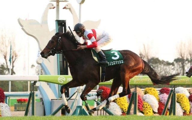 【京阪杯】ダノンスマッシュが最内から抜け出す！重賞初V