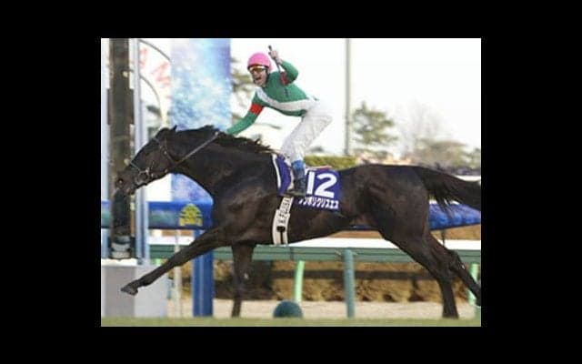 ダートGⅠのチャンピオンズＣは、名種牡馬の血を引く２頭に頼るべし