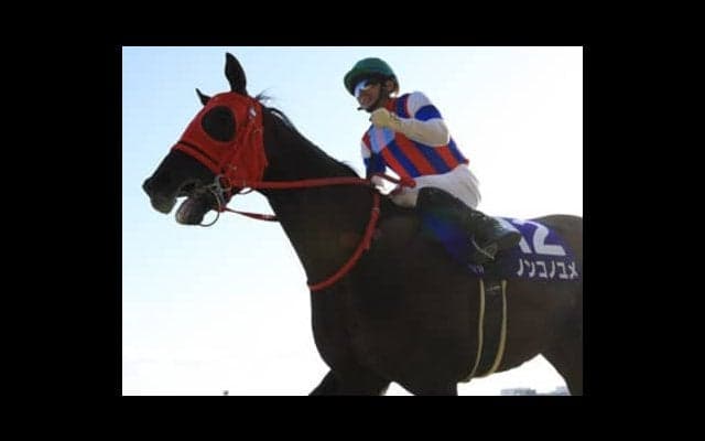 夢膨らむチャンピオンズＣ。ＧＩ馬か中京実績馬の人気落ち３頭が逆襲か