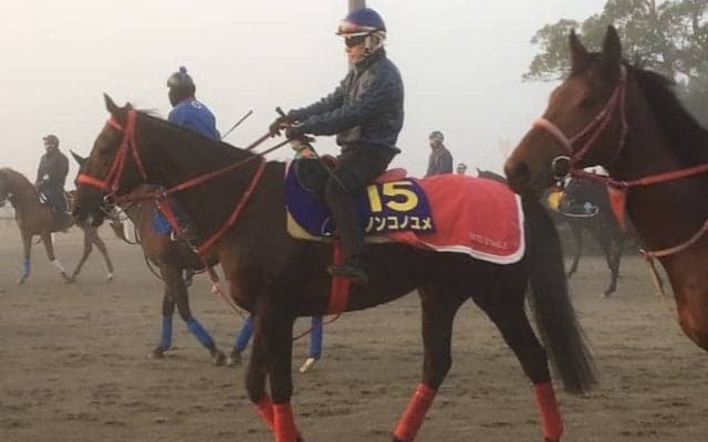 【チャンピオンズC】ノンコノユメ  直線の長いコースで本領発揮