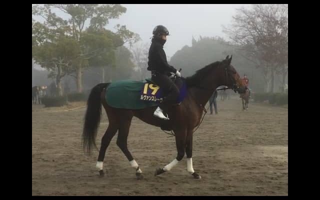 【チャンピオンズC】ルヴァンスレーヴ  3歳馬ながら主役を務める