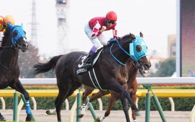 オジュウチョウサン有馬記念へ出走当確！有馬記念ファン投票最終結果