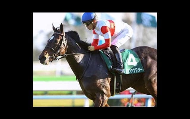 ナンバーワン不在の阪神ＪＦ。ピックアップしたいのは魅力的な良血３頭