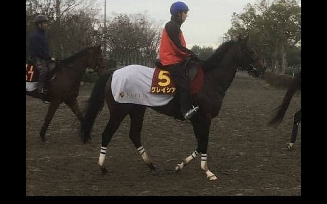 【阪神JF】グレイシア 栗田徹師「巻き返したいですね」