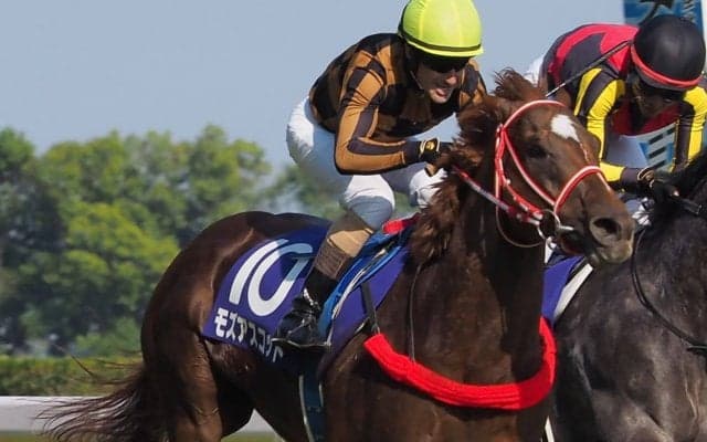 香港マイル出走馬 ペルシアンナイト モズアスコットなど出走