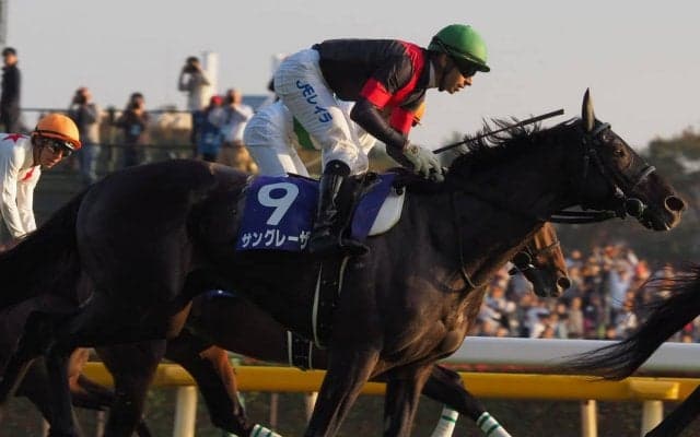 2018香港国際競走 日本馬の近況(12月6日(木))